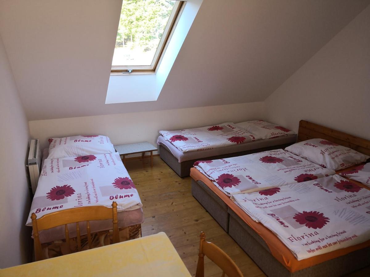 Ubytovani U Machova Jezera - Apartmany - Ludmila Grulisova Доксы Экстерьер фото