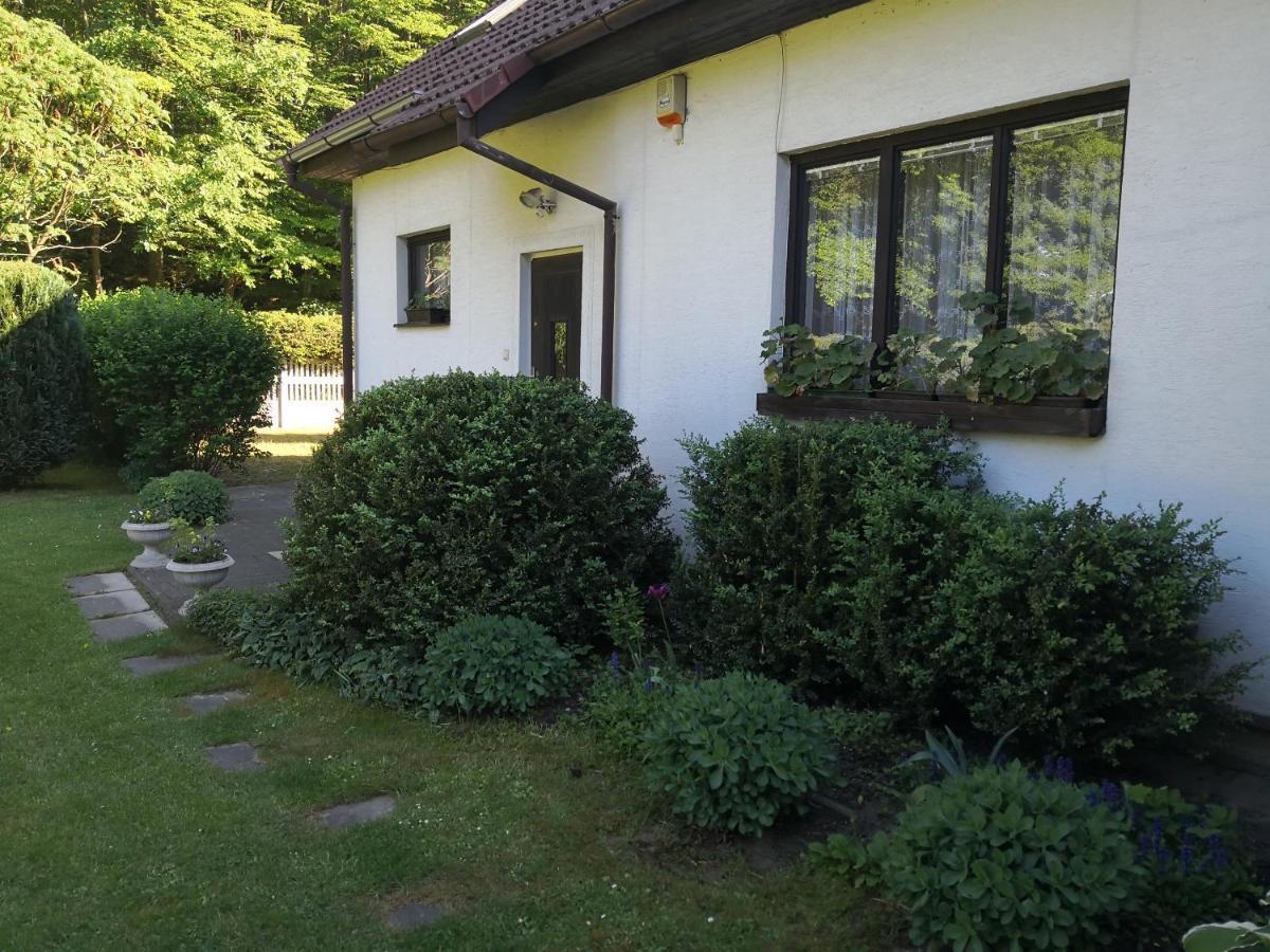 Ubytovani U Machova Jezera - Apartmany - Ludmila Grulisova Доксы Экстерьер фото