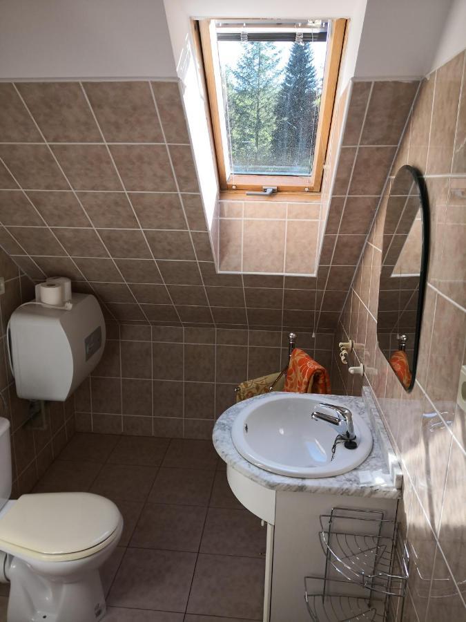 Ubytovani U Machova Jezera - Apartmany - Ludmila Grulisova Доксы Экстерьер фото